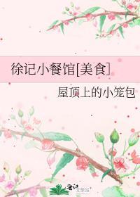 徐记小餐馆txt笔趣阁