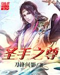 圣手lite