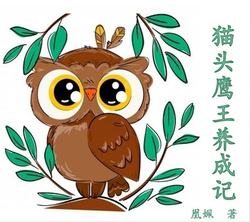 猫头鹰王国7