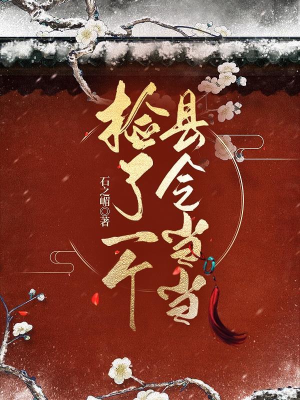 捡了一个县令当当动画