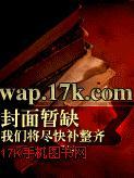 偷天宝鉴在线观看国语