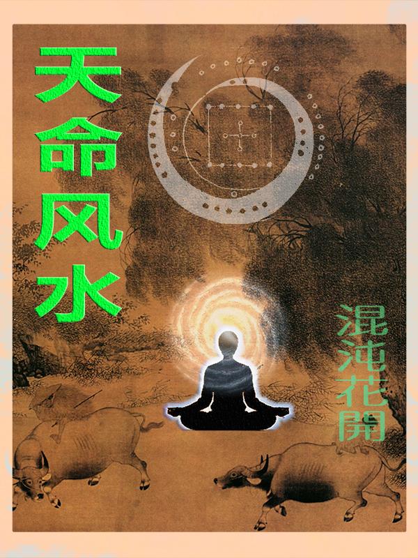 天命风水师陈启林