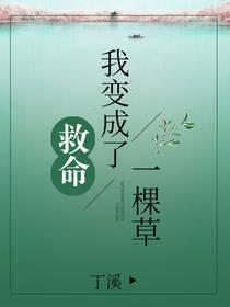 我变成了一棵小草作文
