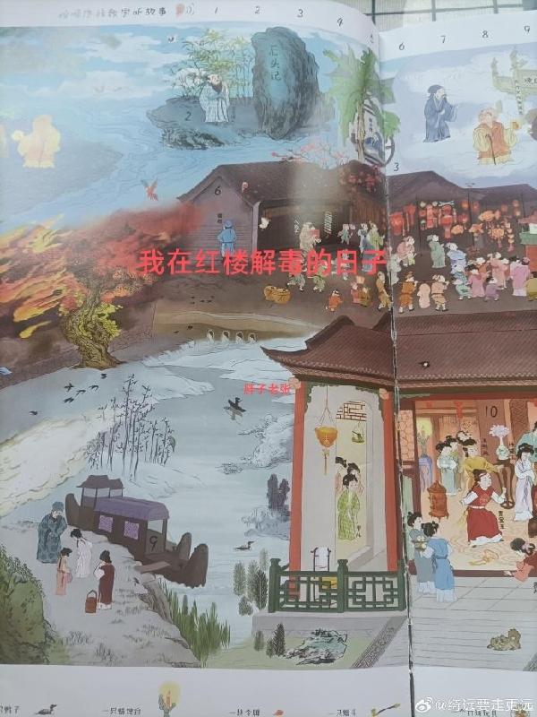 我在红楼解毒的日子胖子老张