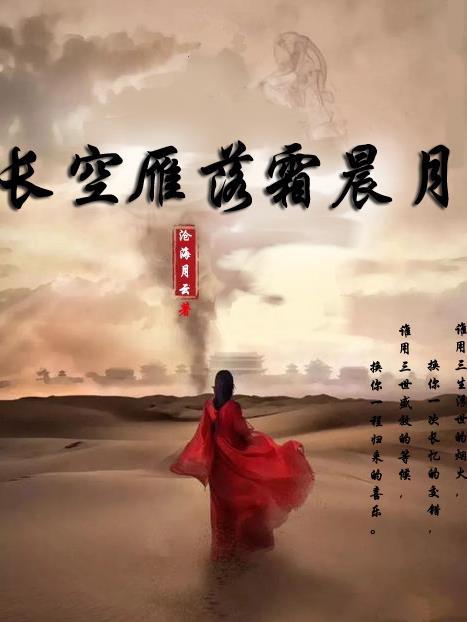 长空雁鸣什么意思