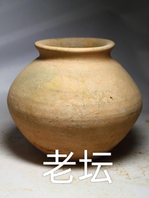 老坛胡说多少岁