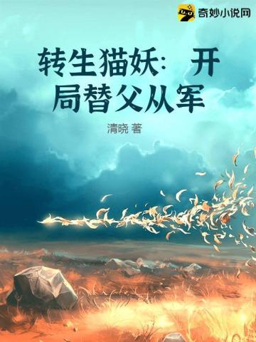转生猫猫漫画