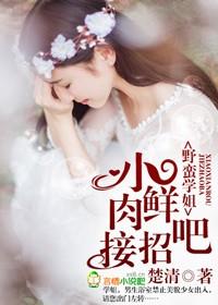 野蛮学姐小鲜肉接招吧TXT