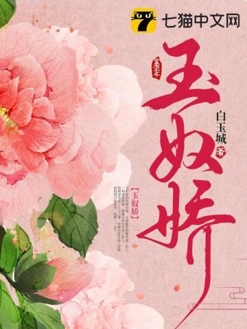 玉奴娇讲的什么