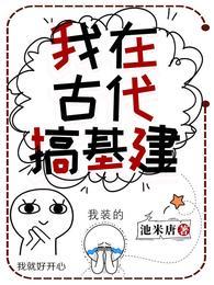 我在古代搞建设tx