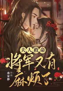 将军又有麻烦了评论