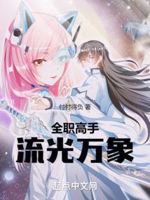 全职高手流光万象txt免费全本