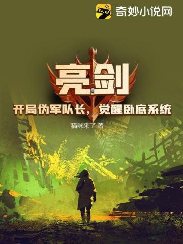 亮剑之开局就是将军