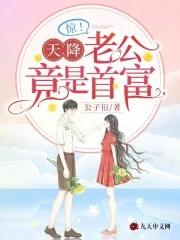 惊天降老公竟是首富怎么不更新了