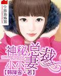 神秘总裁小小妻番外篇