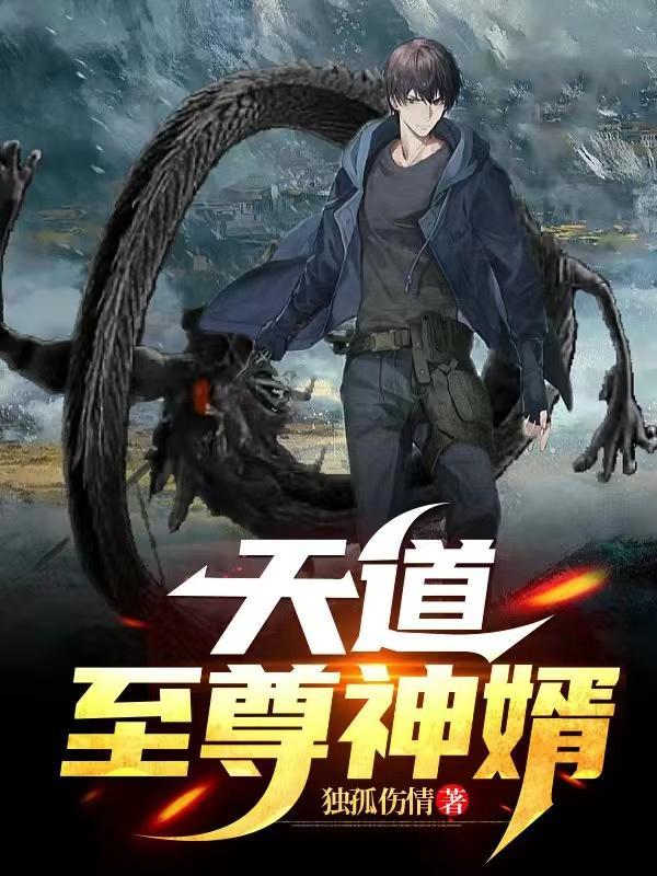 至尊神婿免费阅读