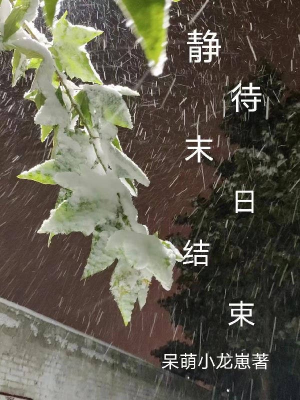 末日人机几号结束
