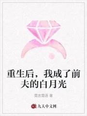 重生后我成了前夫白月光txt