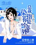 总裁染指你是个意外全文