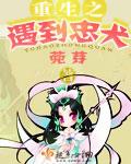 重生之忠犬来袭