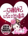 一只懒妃出墙来免费全文阅读笔趣阁