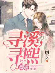 寻屿简谱完整版