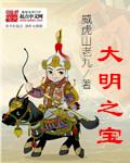 大明之宝箱系统在线阅读