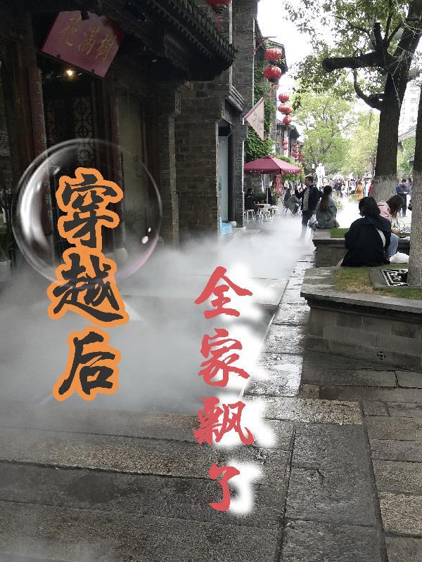 穿越后全家飘了免费阅读