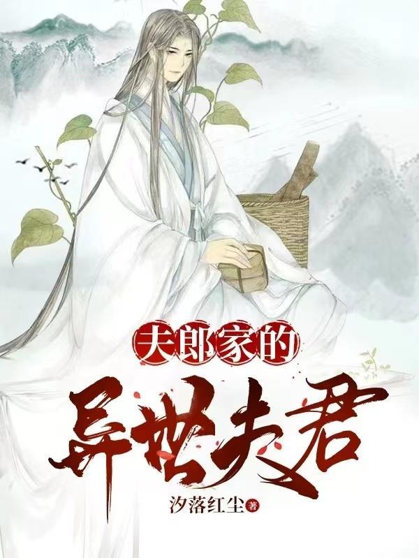 夫郎家的异世夫君免费阅读全文