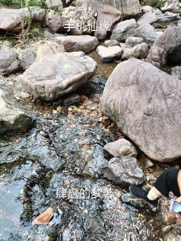 仙缘hh