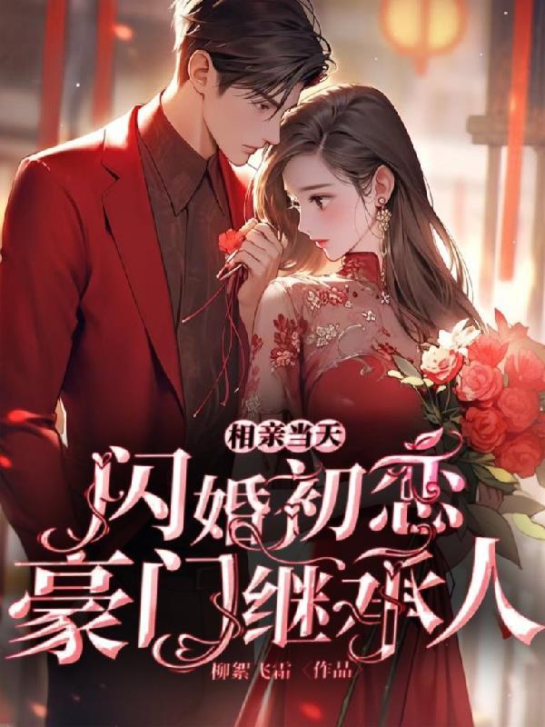 相亲闪婚类