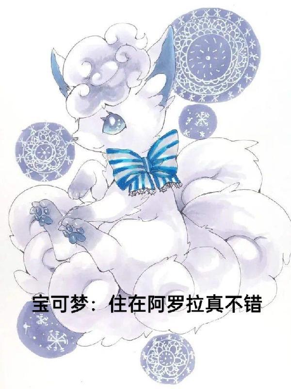 精灵宝可梦阿罗拉的夜晚