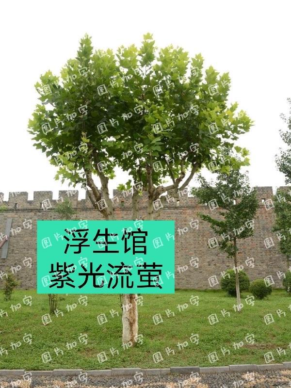 刘浮生 文学馆