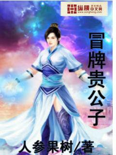 冒牌太子妃原著