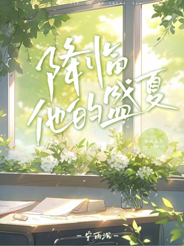 降临他的盛夏大结局