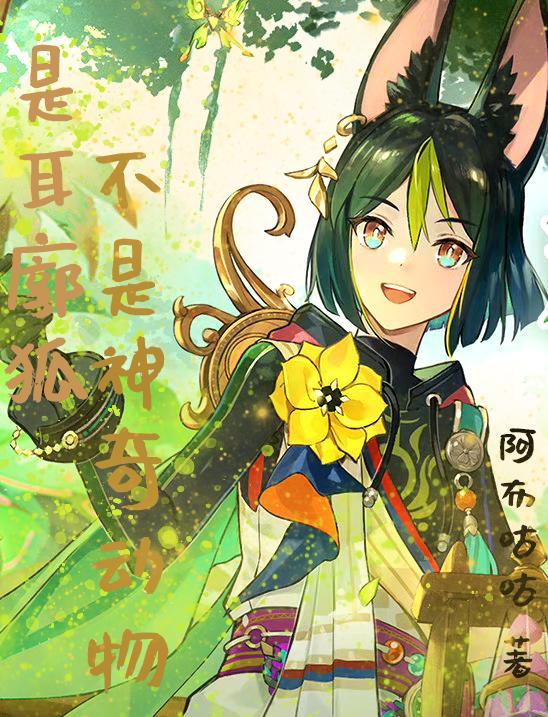 耳廓狐资料