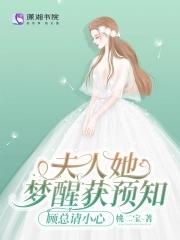 夫人她大概是顿悟了免费阅读