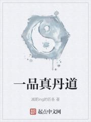一品金丹条件