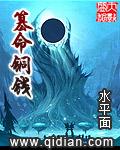 篡命铜钱百科