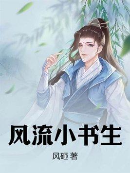 风流书生H