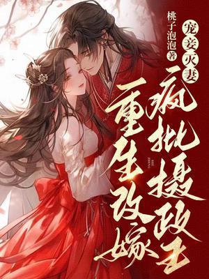 宠妾灭妻重生改嫁疯批摄政王雪山岚