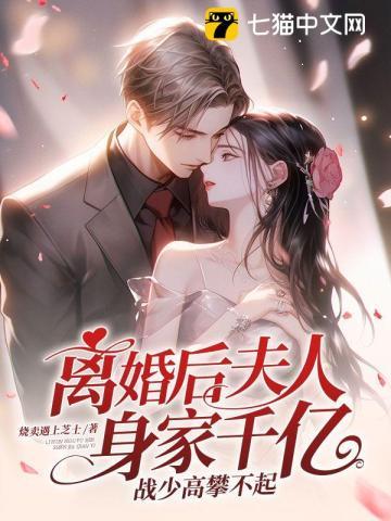 她是来和我离婚的吧