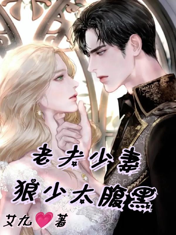 老夫少妻完结