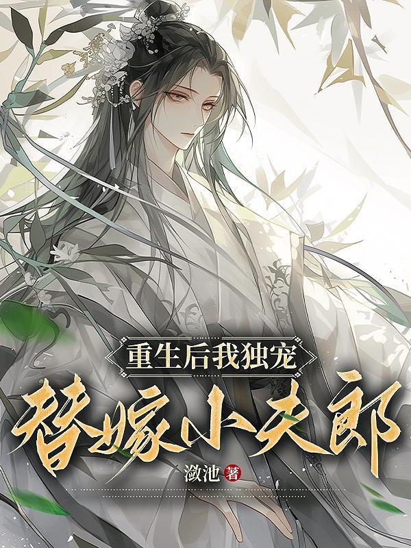 重生后我独宠替嫁小夫郎by潋池