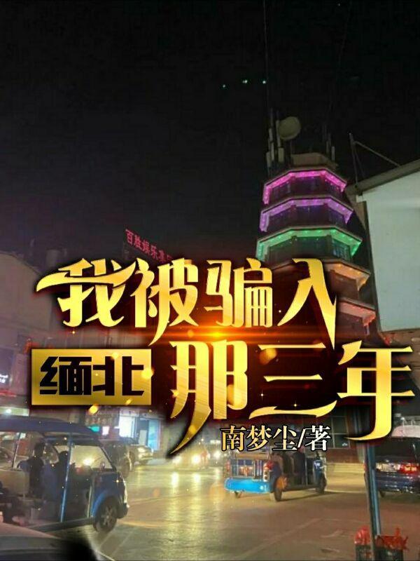 被骗到缅北报警有用吗
