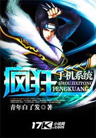 疯狂手机系统动画片