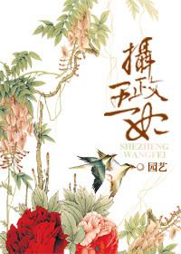 重生之摄政王妃野翻天
