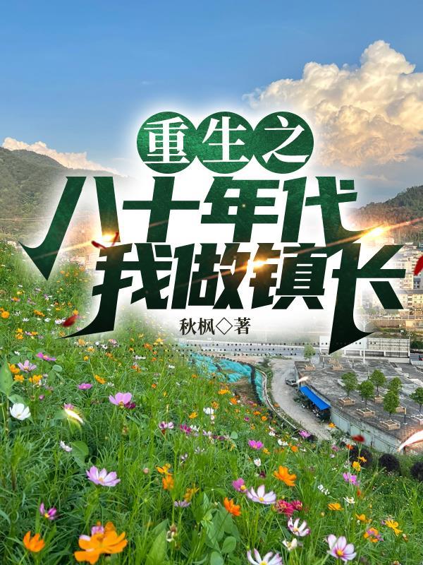 重生之八十年代我做镇长免费阅读