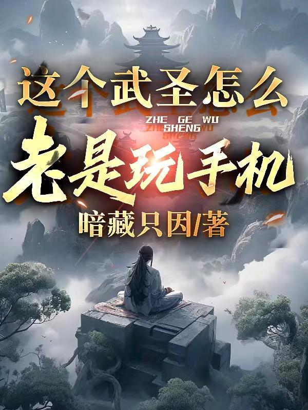 这个武圣怎么老是玩手机啊