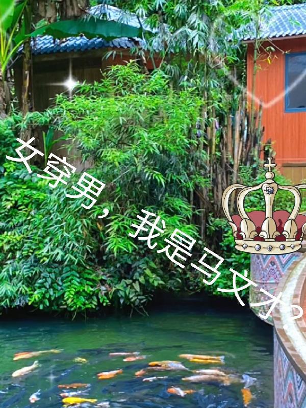 女穿男的我